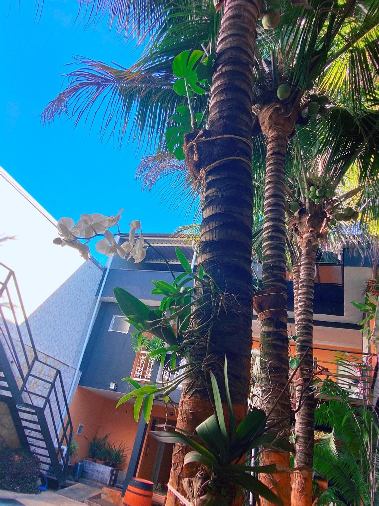 Hostel Gravata Piracicaba Ngoại thất bức ảnh